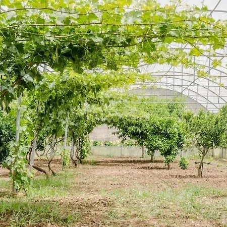 Dolce Valle