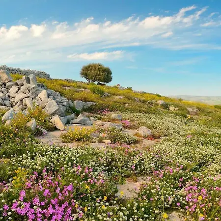 Apartman Dolce Valle *